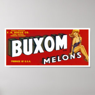 Buxom Mellons Poster