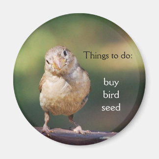 'buy bird seed' Magnet