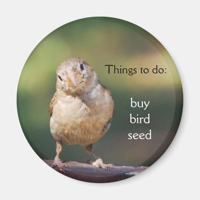 'buy bird seed' Magnet (Front)