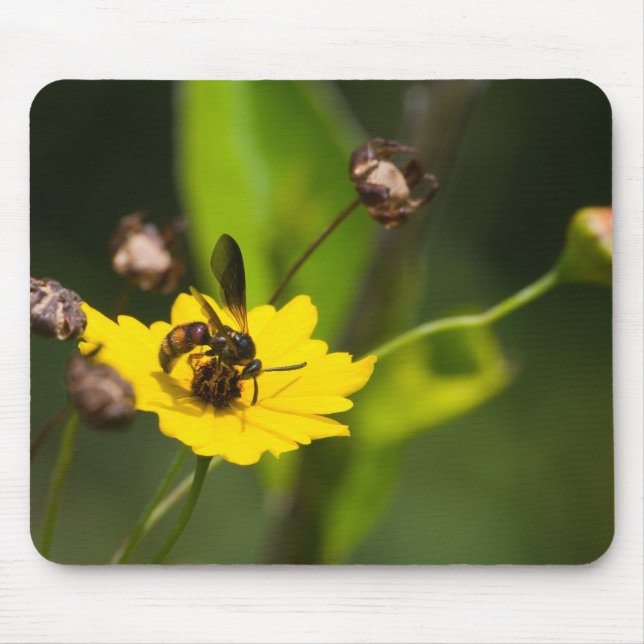 Buzz Mouse Mat (Front)