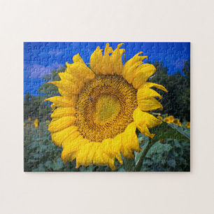 Buzz the Bee in the Sunflower Jigsaw Puzzle