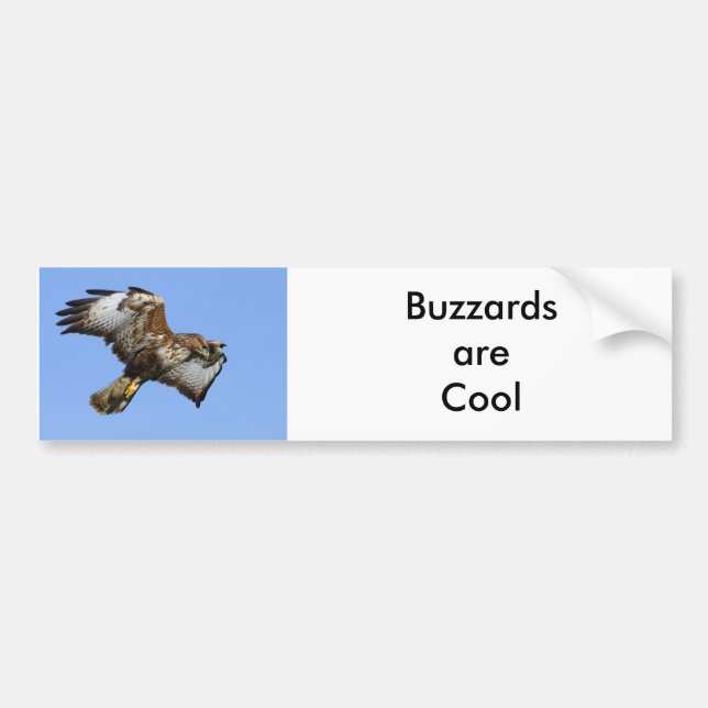 Buzzard  1 bumper sticker (Front)