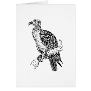 Buzzard Bird Art