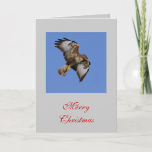 Buzzard Card