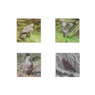 Buzzard Collection Stone Magnet