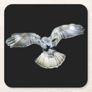 Buzzard Fanned Wings and Tail Landing Coasters 