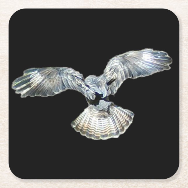 Buzzard Fanned Wings and Tail Landing Coasters  (Front)