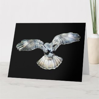 Buzzard Fanned Wings Greetings Card Add Text
