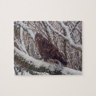 Buzzard on Snowy Branch Jigsaw Puzzle