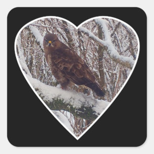 Buzzard on Snowy Branch Wildlife Heart Nature Art Square Sticker