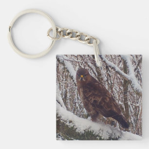 Buzzard Perched On Snowy Branch Winter Wildlife Key Ring