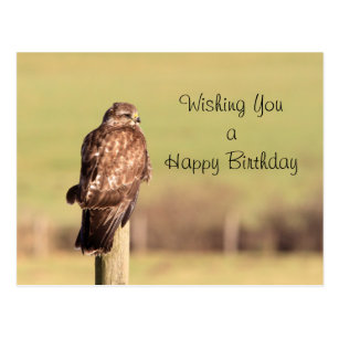 buzzard_postcard-r8f8d45d8137c4f5d9d891458600af3a0_vgbaq_8byvr_307.jpg