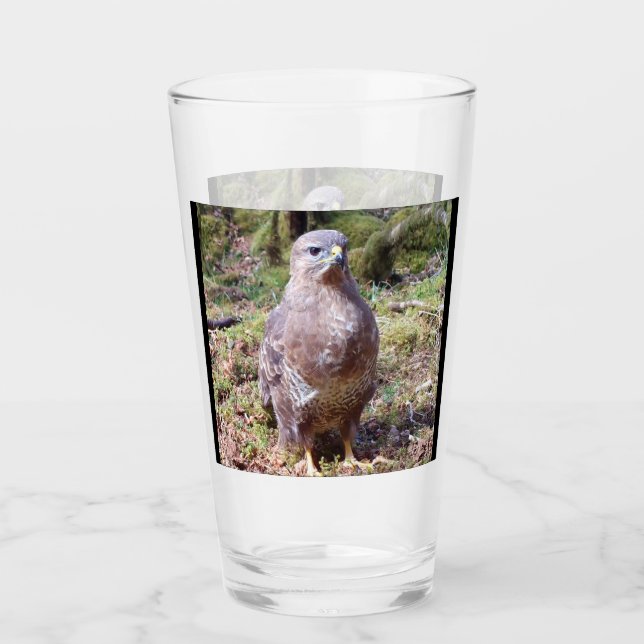 Buzzard Staring Glass (Front)