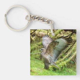 Buzzard Stretching Wings Key Ring