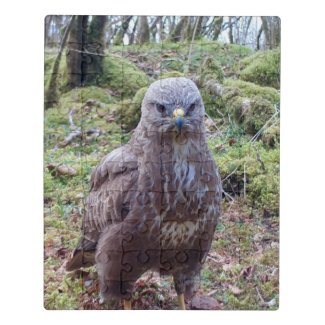 Buzzard With Attitude Acrylic Jigsaw Puzzle