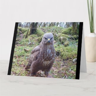 Buzzard With Attitude Card