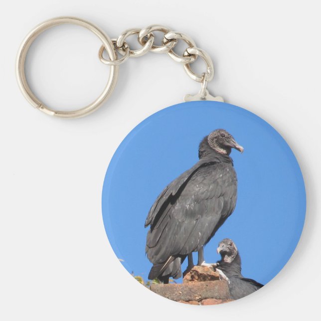 Buzzards Looking At You Key Rings (Front)