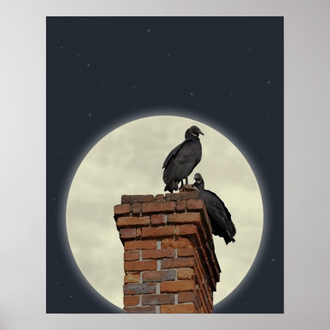 Buzzards on Chimney Against Full Moon Poster (Front)