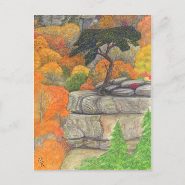 Buzzard's Roost at Fall Creek Falls Postcard (Front)