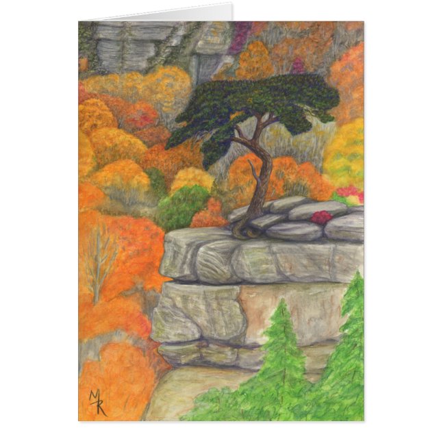 Buzzard's Roost - Fall Creek Falls State Park (Front)