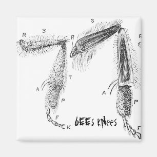 buzzart magnet