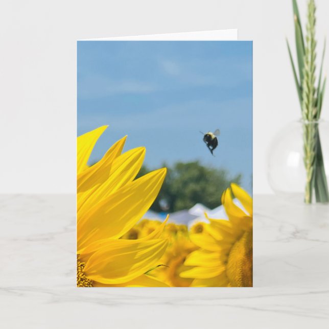 BuZZy Bee Photo Blank Greeting Card/Note Card  (Front)