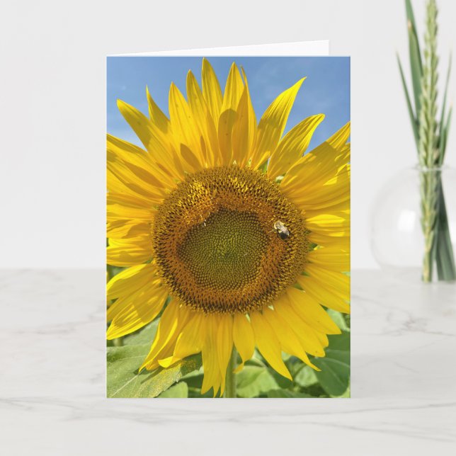 BuZZy Bee & Sunflower Photo Blank Greeting Card  (Front)