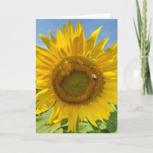 BuZZy Bee & Sunflower Photo Blank Greeting Card 