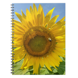 BuZZy Bee & Sunflower Photo Journal