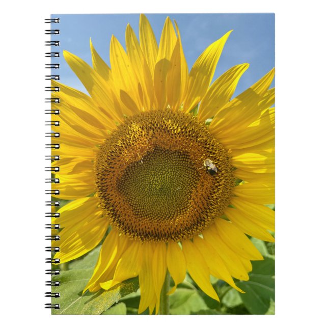 BuZZy Bee & Sunflower Photo Journal (Front)