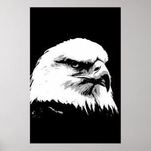 BW American Bald Eagle Poster Print Eagles Posters