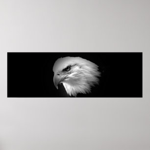 BW American Bald Eagle Print - Panoramic Posters