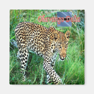 BW - Botswana - Okavango Delta Ghepard Magnet
