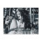BW carousel photograph postcard