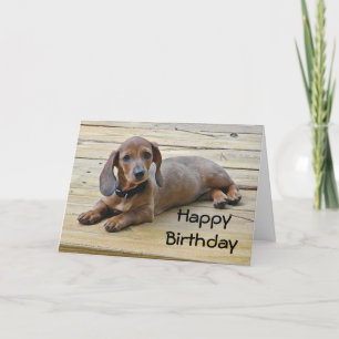 BW- Dachshund Puppy Birthday Card