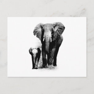 BW Elephant & Baby Elephant Postcard