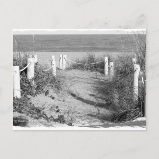 BW Fort Pierce, Florida beach walk dune roped off Postcard