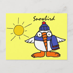 BW- Funny Snowbird Postcard