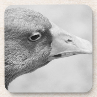BW Goose Coaster