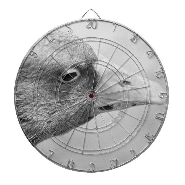 BW Goose Dartboard (Front)