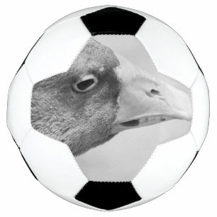 BW Goose Football