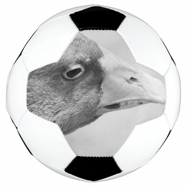 BW Goose Football (Front)