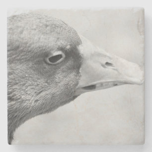 BW Goose Stone Coaster