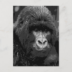 BW Gorilla Face Postcard