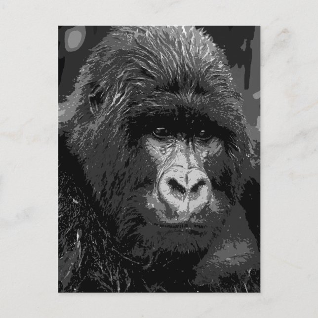 BW Gorilla Face Postcard (Front)
