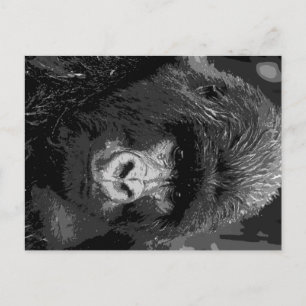 BW Gorilla Face Postcard