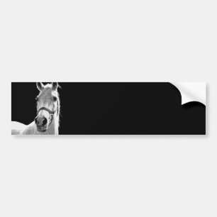 BW Horse Bumper Sticker