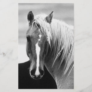 BW Horse Portrait Stationery