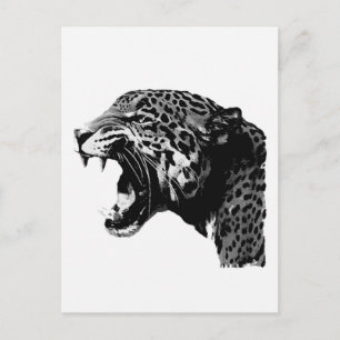 BW Jaguar Postcard