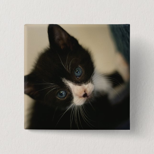 BW Kitten Button (Front)